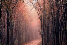 车身贴膜隐形车衣怎么样，隐形车衣和贴膜有什么区别