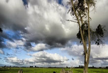 车身贴膜隐形车衣怎么样，隐形车衣和贴膜有什么区别