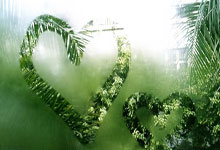 车身贴膜需要备案吗怎么备案的，车身贴膜用不用备案