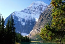 车身贴膜隐形车衣怎么样，隐形车衣和贴膜有什么区别